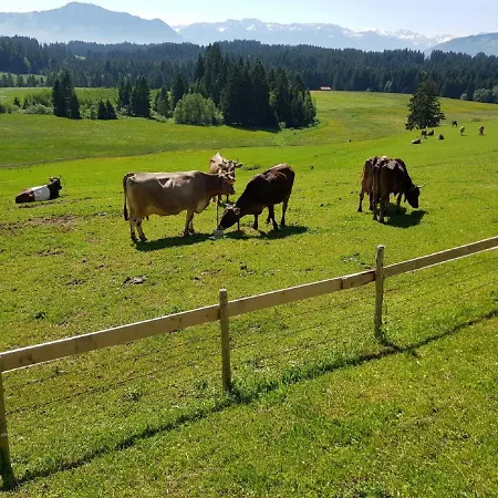 Gaestehaus Rimmel Immenstadt im Allgäu